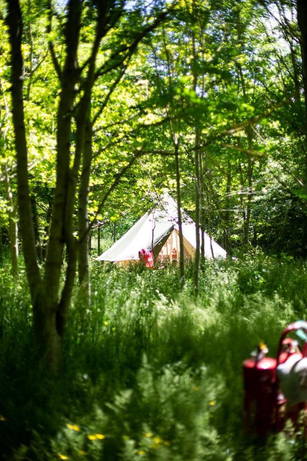 فندق Dgg Woodland Escape South Barrow المظهر الخارجي الصورة