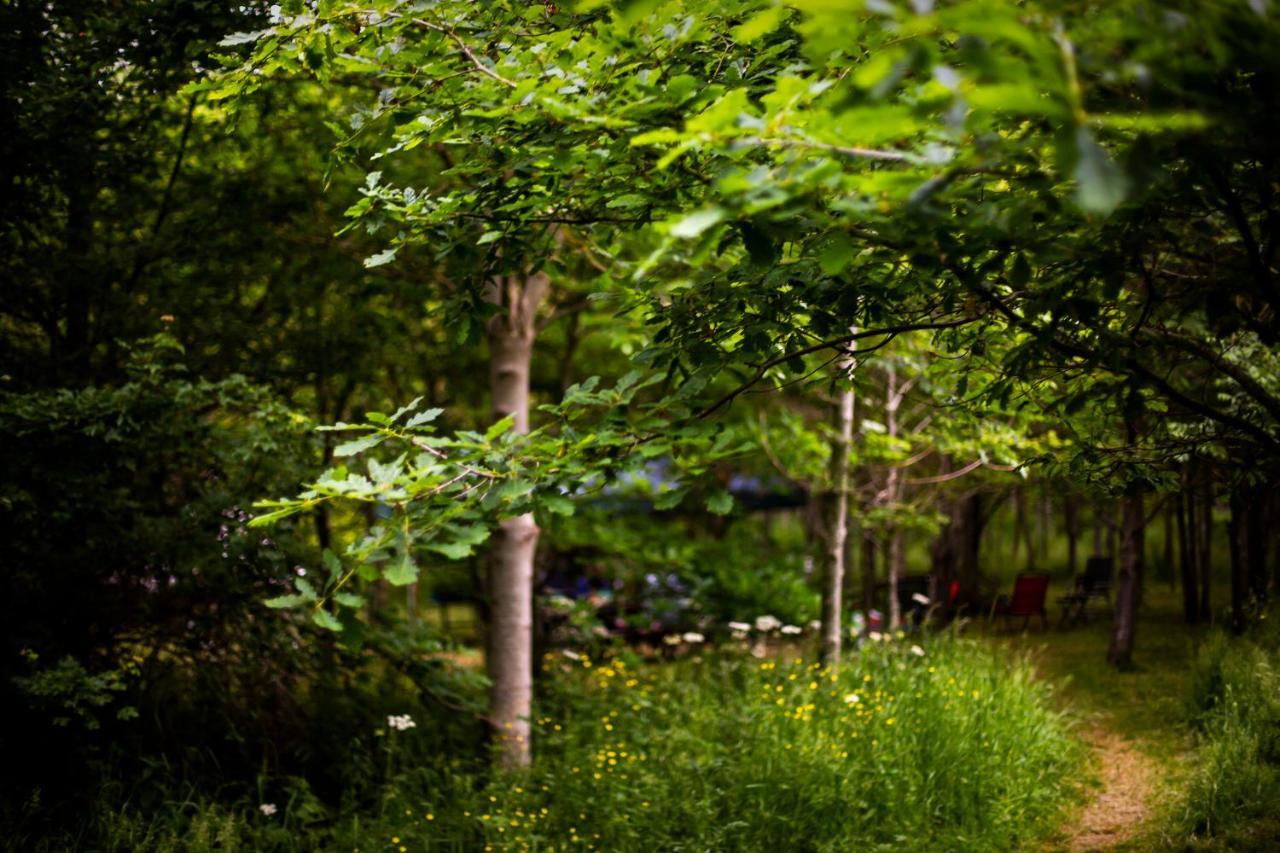 فندق Dgg Woodland Escape South Barrow المظهر الخارجي الصورة