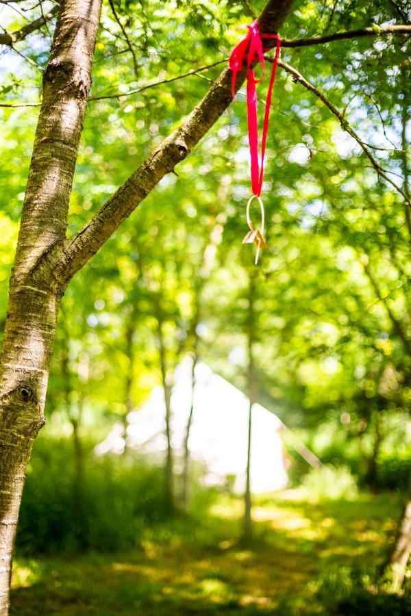 فندق Dgg Woodland Escape South Barrow المظهر الخارجي الصورة