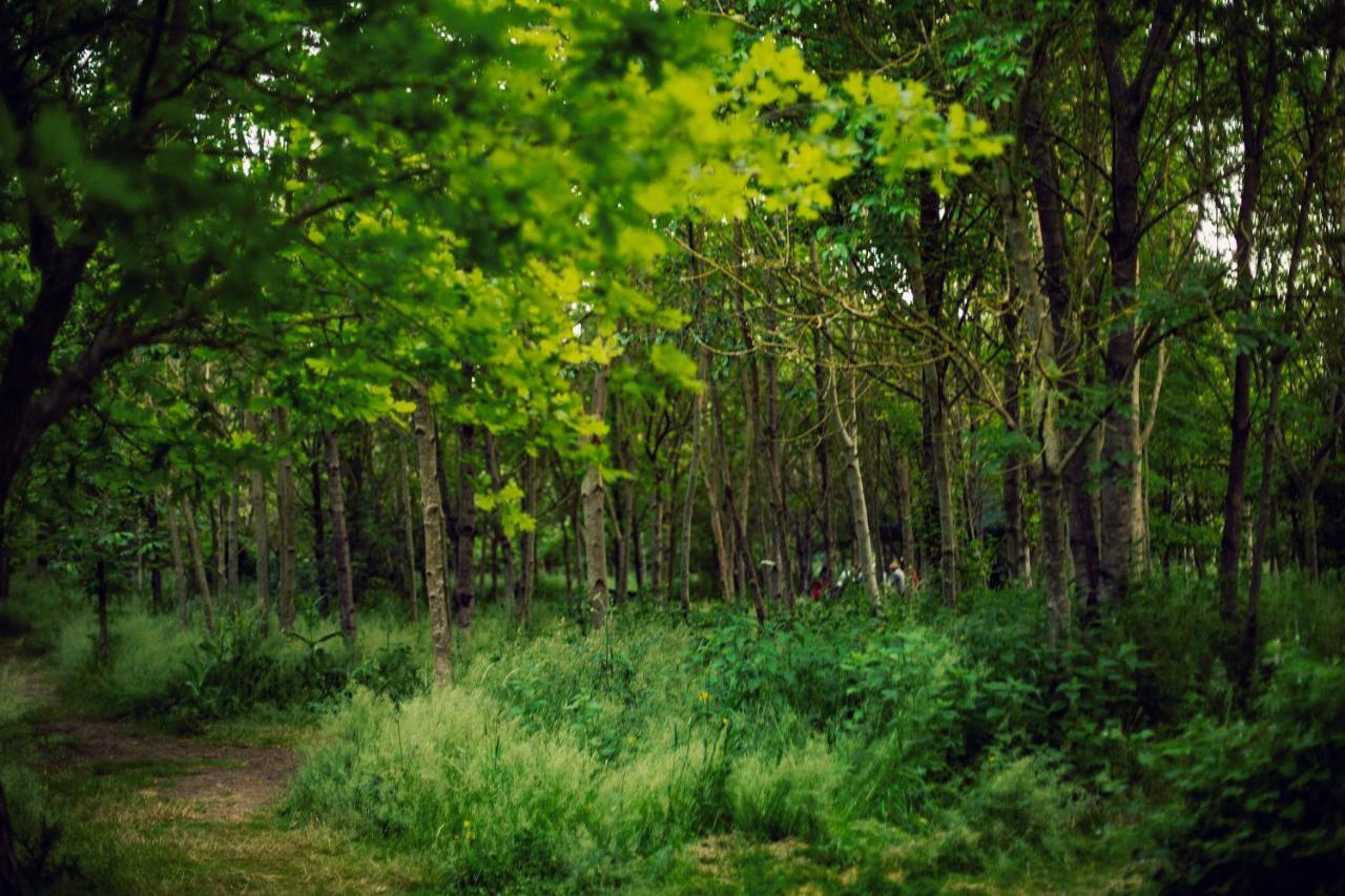 فندق Dgg Woodland Escape South Barrow المظهر الخارجي الصورة