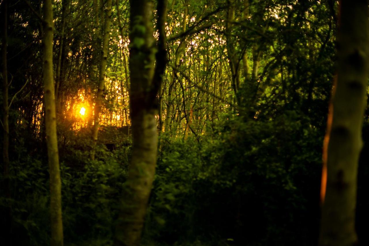 فندق Dgg Woodland Escape South Barrow المظهر الخارجي الصورة