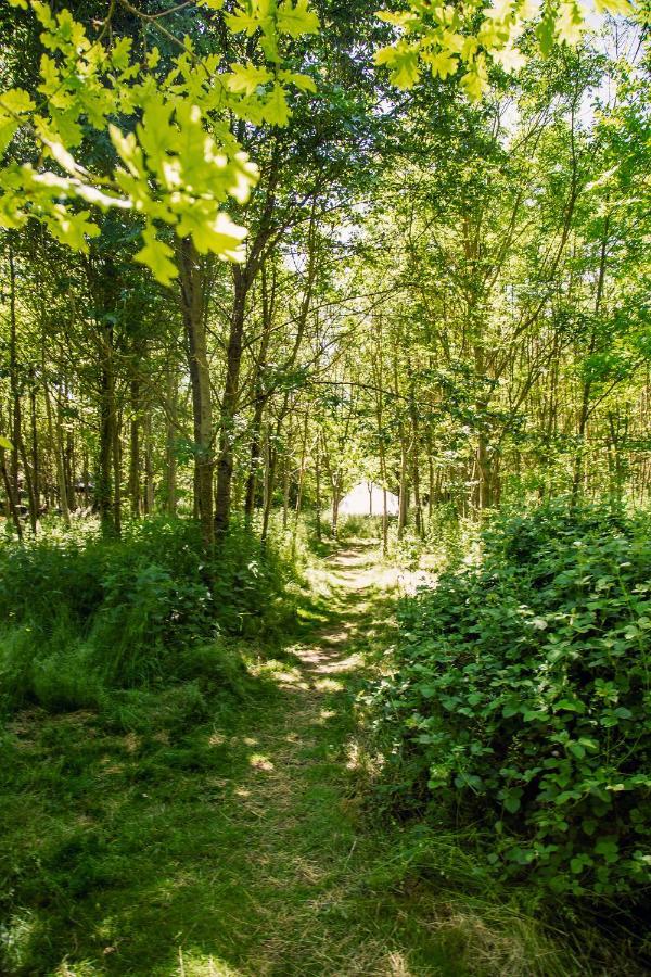 فندق Dgg Woodland Escape South Barrow المظهر الخارجي الصورة