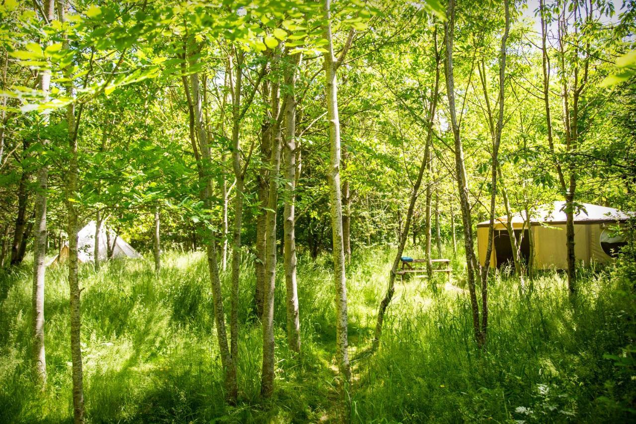 فندق Dgg Woodland Escape South Barrow المظهر الخارجي الصورة