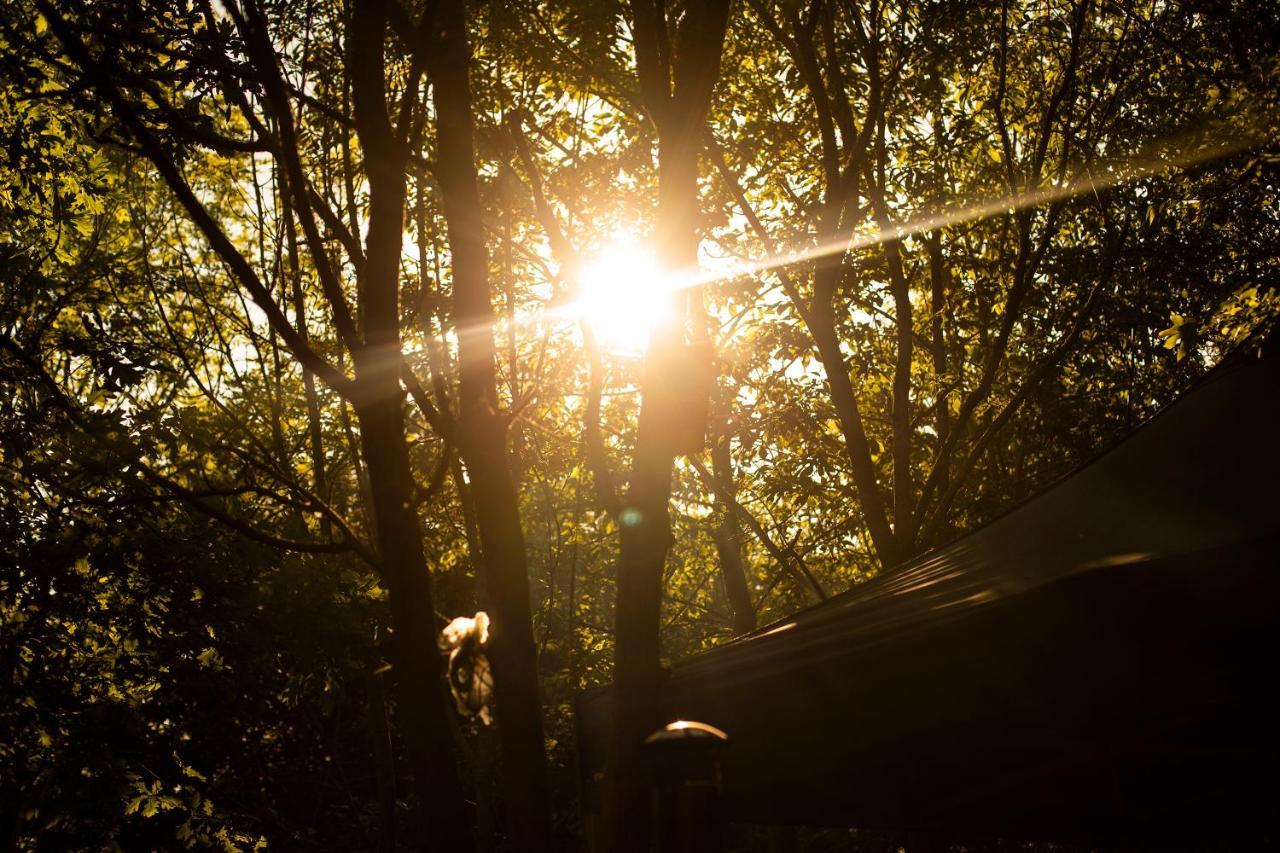 فندق Dgg Woodland Escape South Barrow المظهر الخارجي الصورة