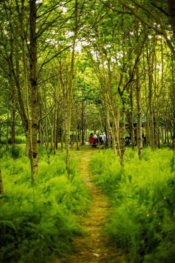 فندق Dgg Woodland Escape South Barrow المظهر الخارجي الصورة